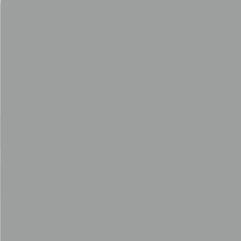 Silver Metallic  Images