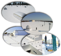 Ruck Roofing Images