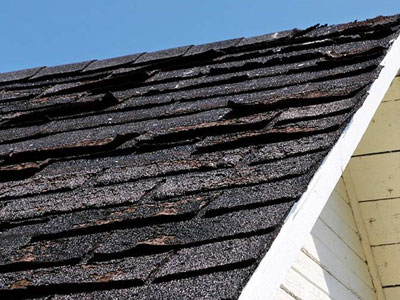 Ruck Roofing Images