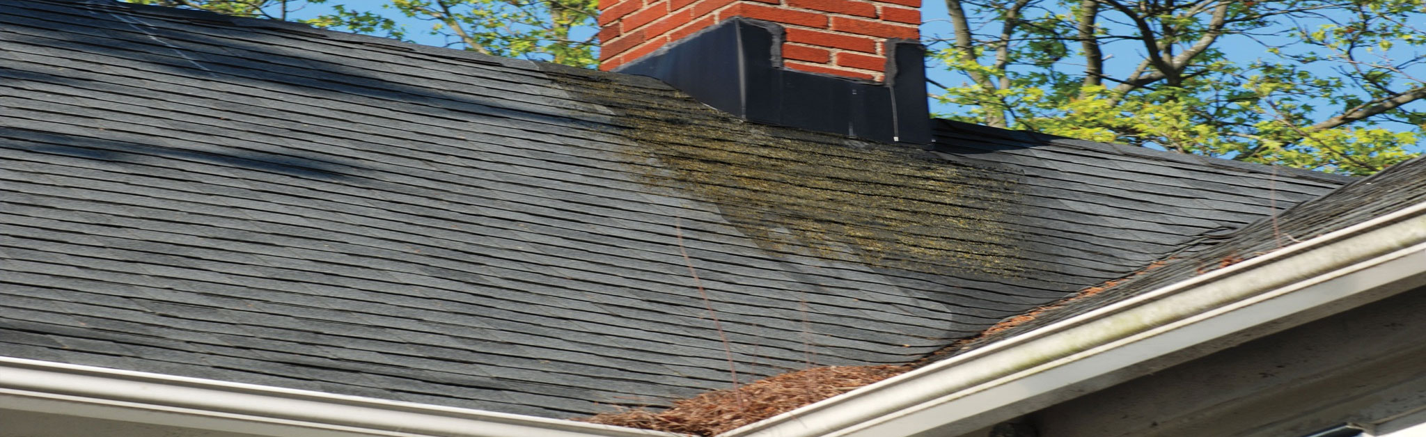 Ruck Roofing Images